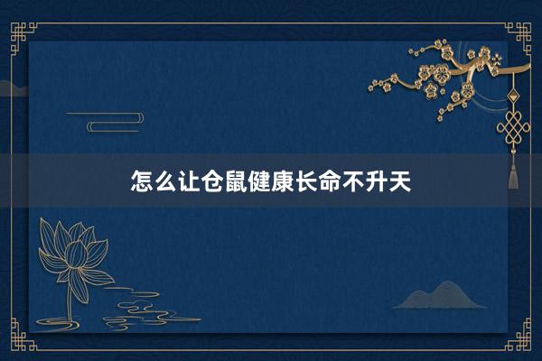 怎么让仓鼠健康长命不升天