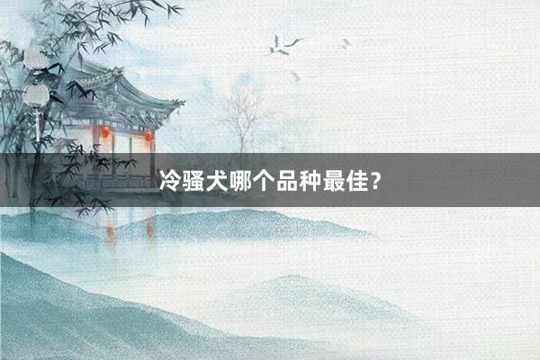 冷骚犬哪个品种最佳？