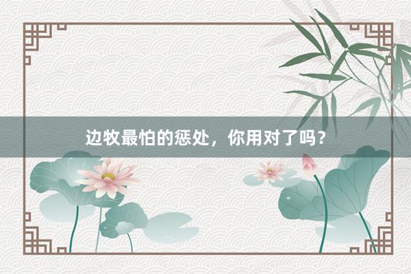 边牧最怕的惩处，你用对了吗？